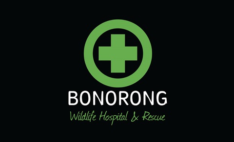 Bonorong-Wildlife-Rescue.jpg