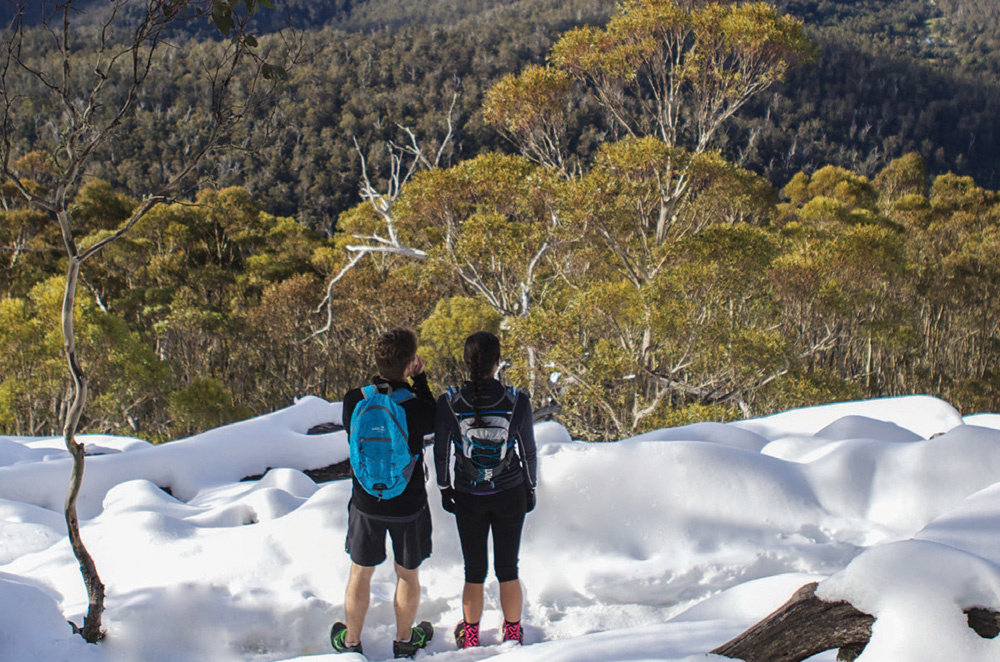 Snow on kunanyi/Mt Wellington - City of Hobart, Tasmania Australia