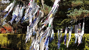 Decorations