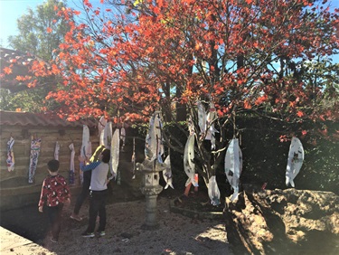 Decorations