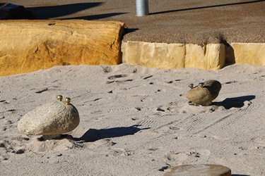 Legacy Park sandpit