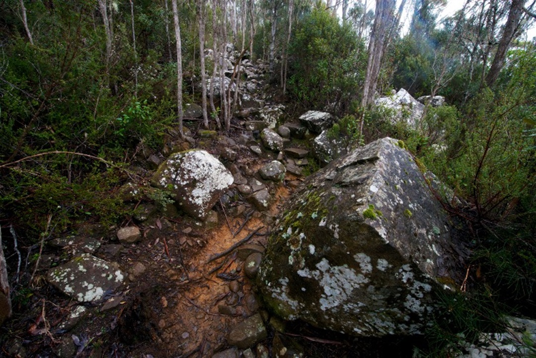 rate-rebate-scheme-for-native-vegetation-city-of-hobart-tasmania