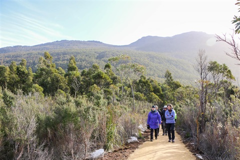 Walkers on the Exhibition Gardens perimeter track during the official opening