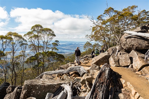 Wellington Park reopens.jpg