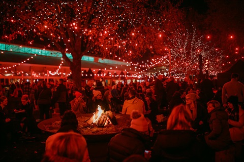 Outdoor scene from Dark Mofo on Salamanca Lawns with people gathered around a firepit, and the trees lit up with red fairy lights.