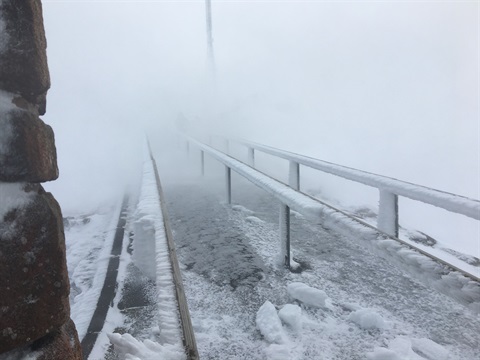 White out conditions on the pinnacle of kunanyi / Mount Wellington where several people were rescued during extreme weather conditions on Saturday