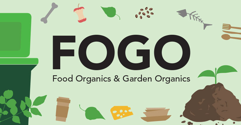 Illustrated FOGO items banner