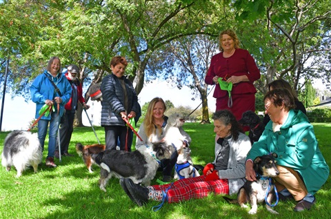 Hobart-dog-walking-association.jpg