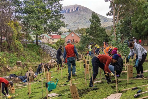Rivulet Vegetation Management Plan
