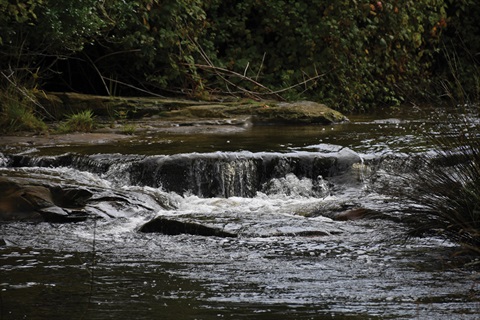 Image of the Hobart Rivulet
