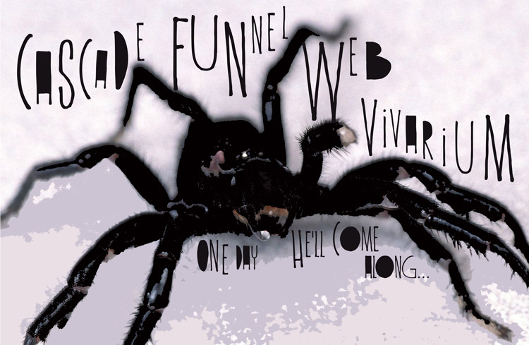 Cascade Funnel-Web Vivarium