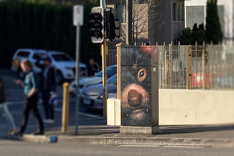 Traffic Signal Boxes