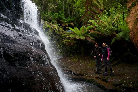 Silver Falls