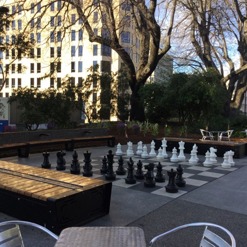 Franklin-Square-Chess-Medium.jpg
