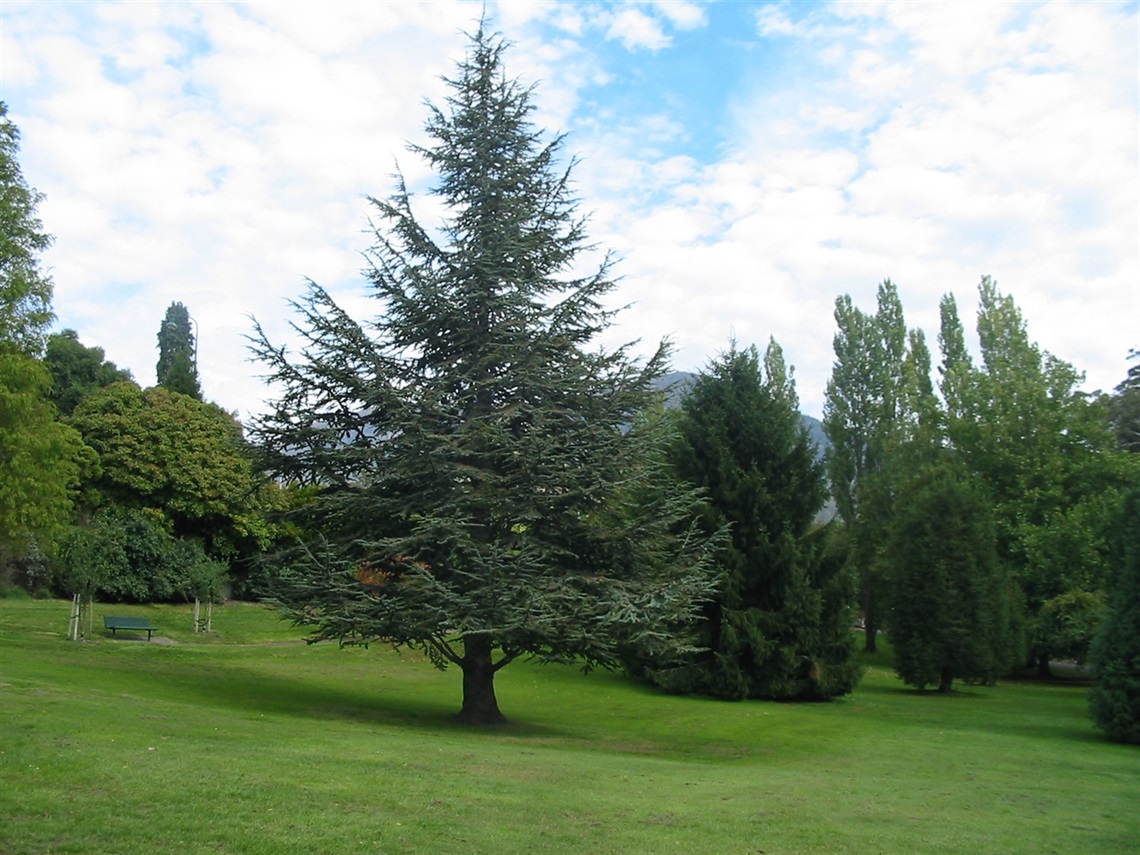Cascade-Gardens.jpg