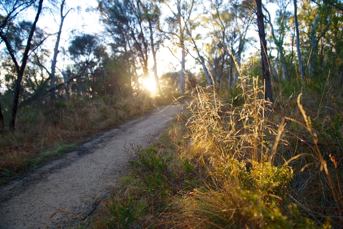 Lambert-Park-09-Medium.jpg
