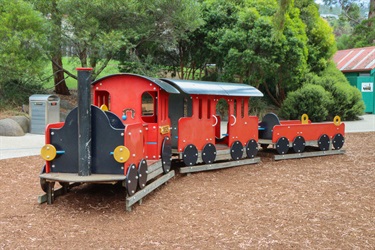 The train