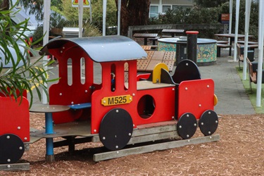 The train