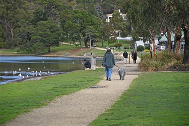 Dog walking
