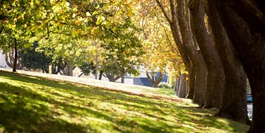 Fitzroy Gardens