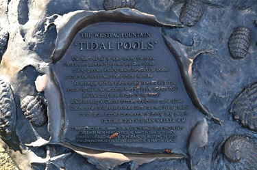 Artwork - Tidal Pools
