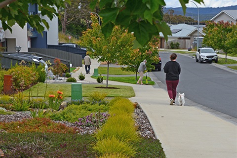 A nature strip in Hobart