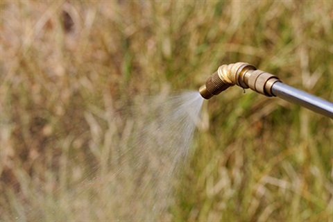 Weed spray