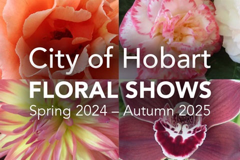 City of Hobart Floral Show 2024-25