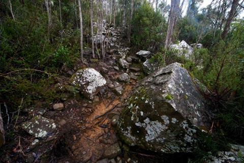 Springs_Pinnacle_005-Mathew-Newton.jpg