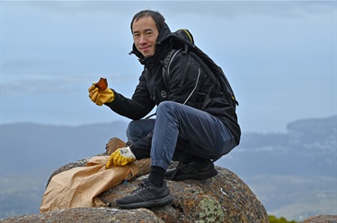 Clean Up Australia Day on kunanyi / Mt Wellington