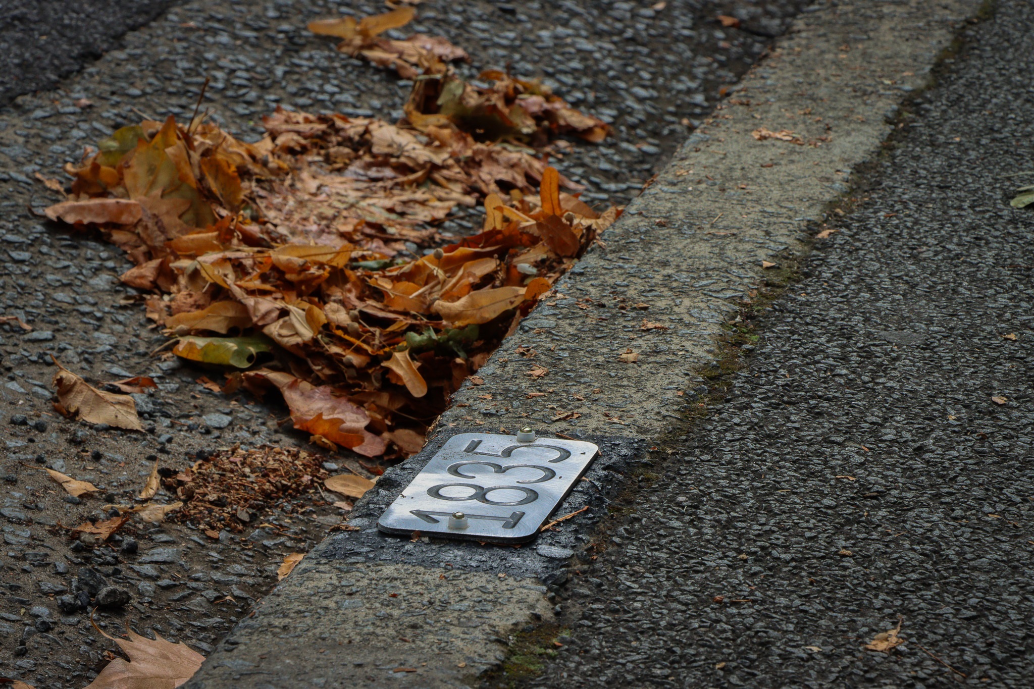 Metal-Parking-Plates-2.jpg