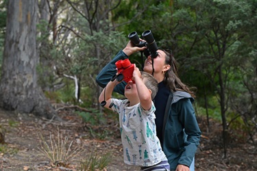 Bird watching in Waterworks Reserve