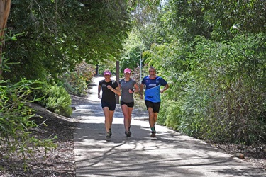 Running the Riv 5 on Hobart Rivulet