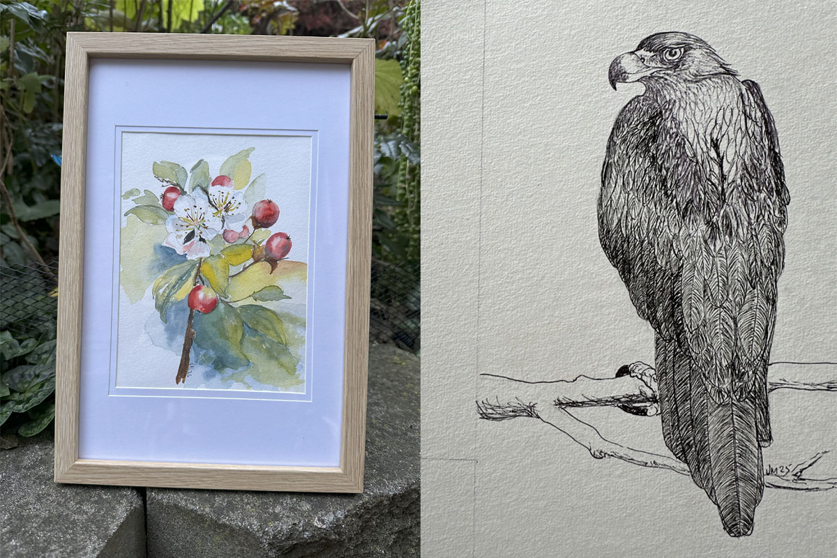 Water colour and pencil sketching.