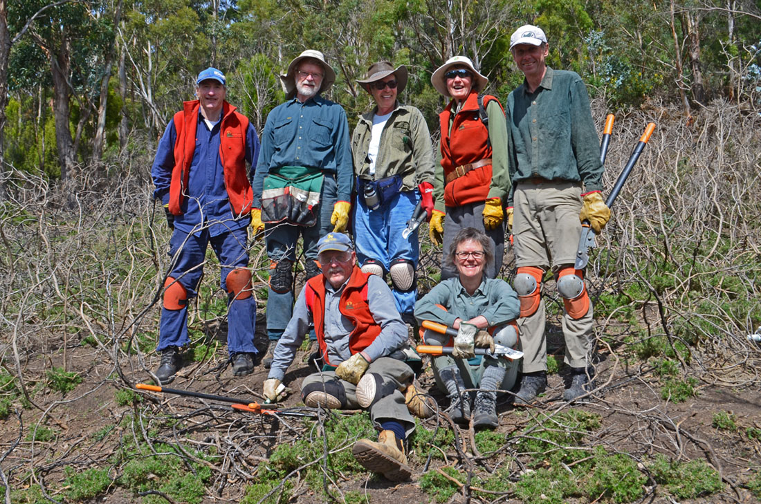 Knocklofty crew.jpg