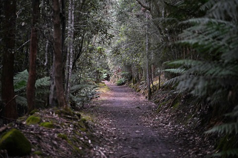Pipeline-Track-DSC_0679.jpg