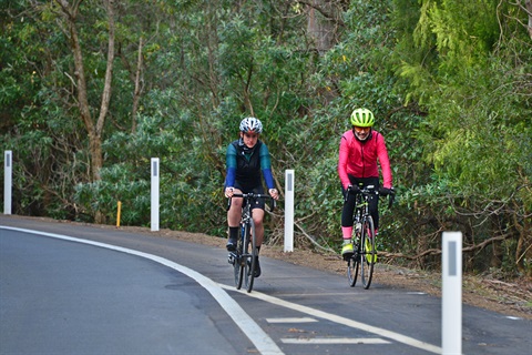 Cyclists-Road-Safety.jpg