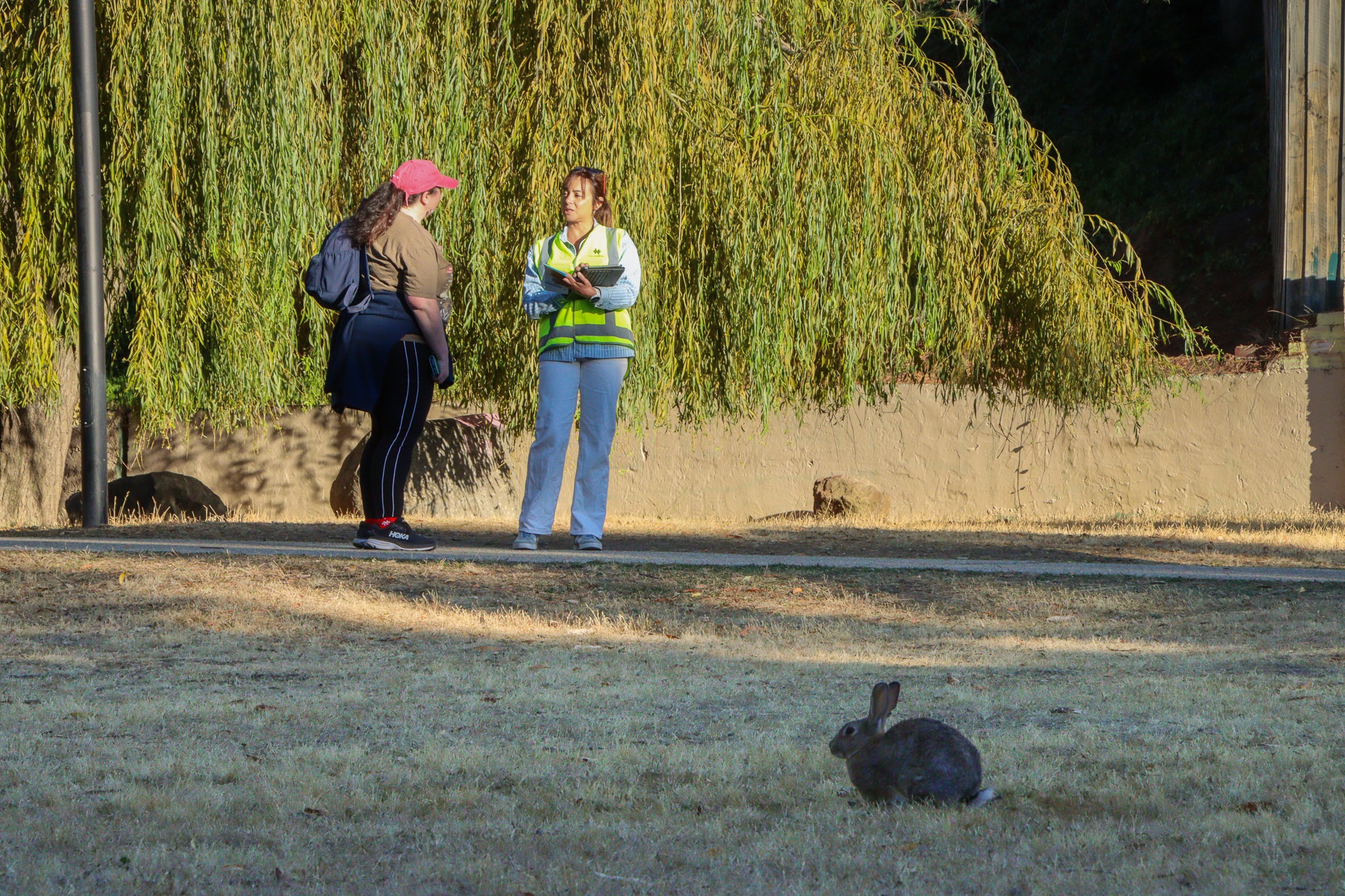 Transforming-Collins-Street-Engagement-Isabela-Izidro-Local-Rabbit.jpg