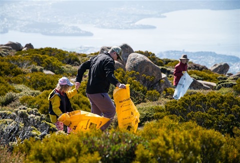 People cleaning up rubbish on kunanyi/Mt Wellington