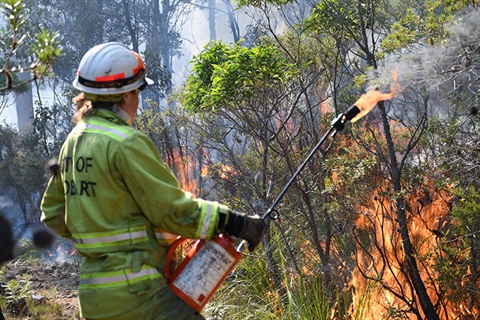 Bushfire management