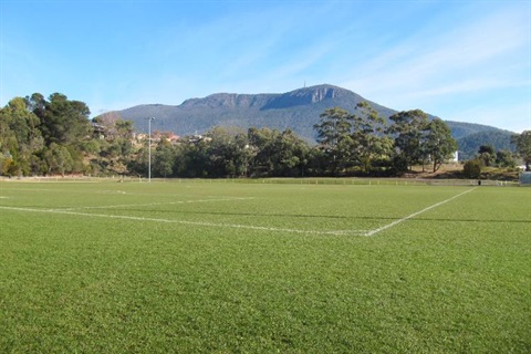 Wellesley Park Oval