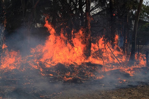 Bushfire prone areas