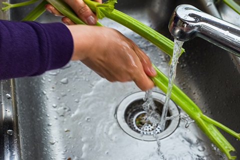 Greywater reuse