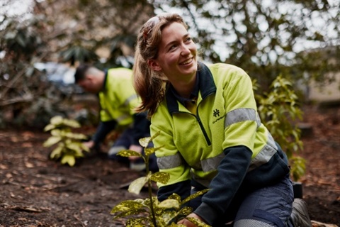 Tree planting