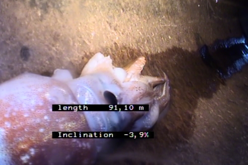 Stormwater CCTV