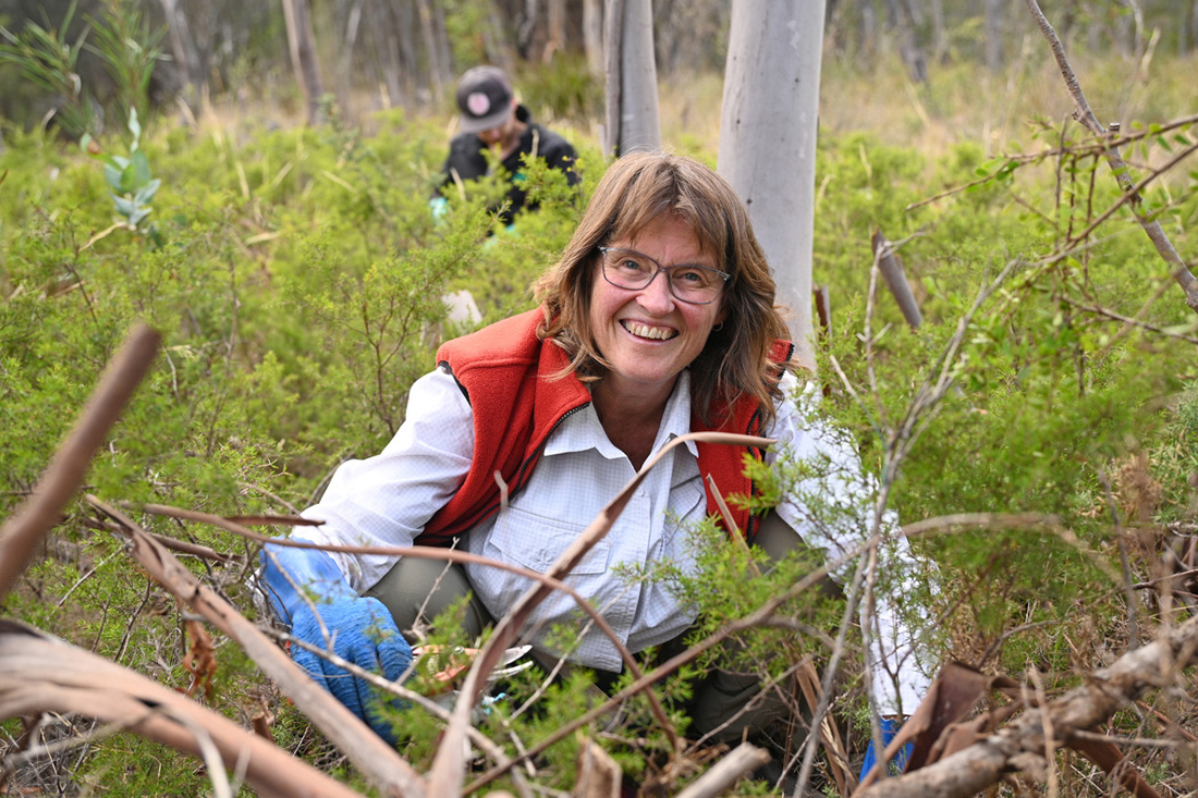 Vivian Fujiura from Mt Nelson Bushcare