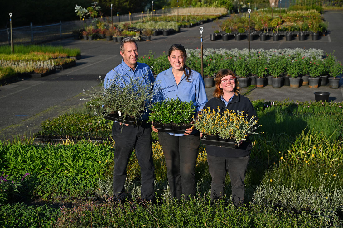 Nursery team with nature strip plants.