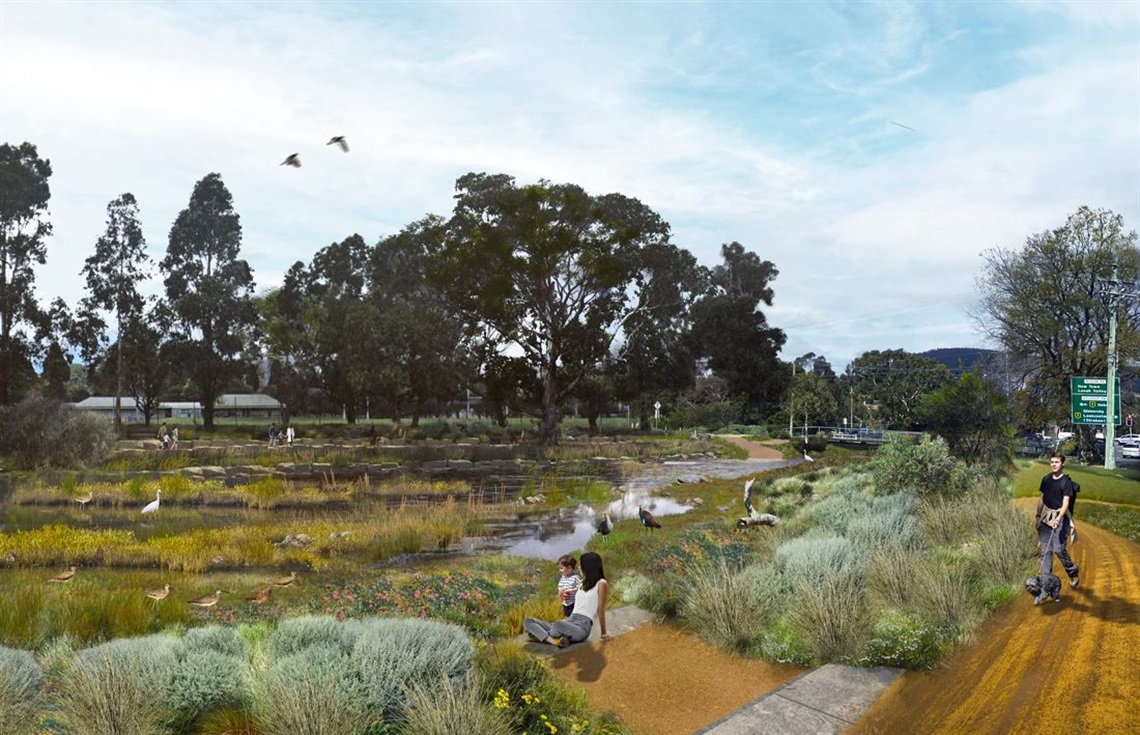 New Town Rivulet rewilding