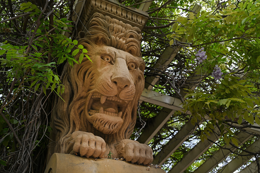 Lions at the entrance to St David's Park