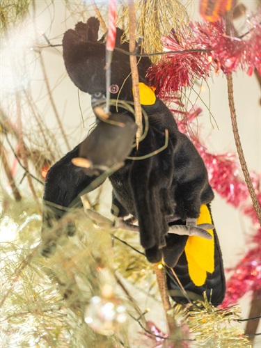 Nicola Ingram, Merry Blakmas and Pretty in Pink, 2025